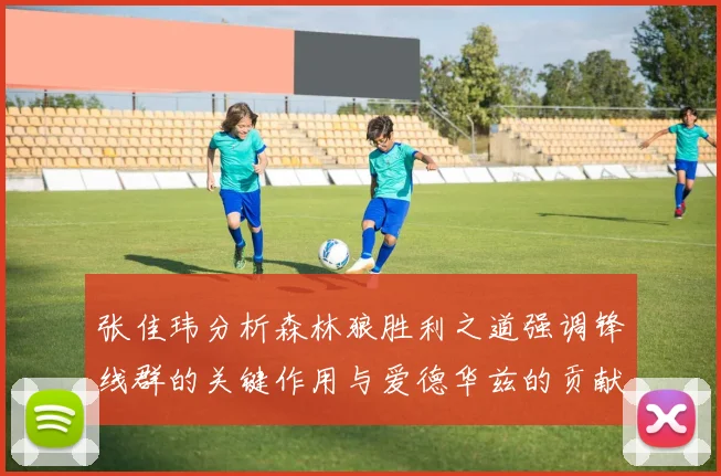 张佳玮分析森林狼胜利之道强调锋线群的关键作用与爱德华兹的贡献
