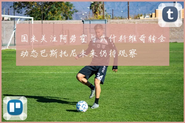 国米关注阿劳霍与武什科维奇转会动态巴斯托尼未来仍待观察